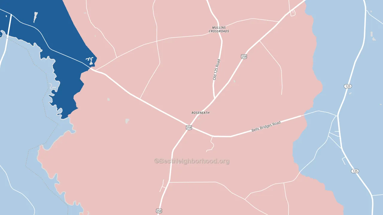 Roseneath, NC block-group political-lean map