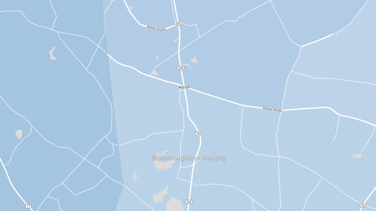 Rosier, GA block-group political-lean map