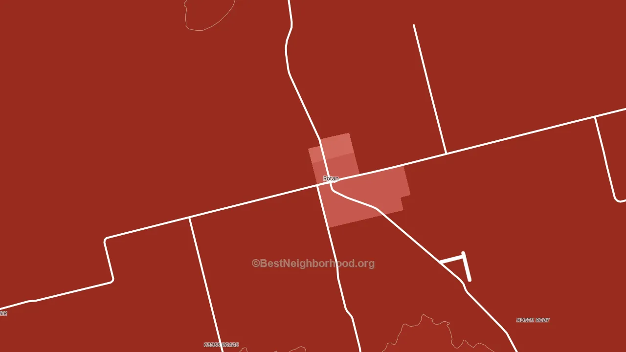 Rotan, TX block-group political-lean map