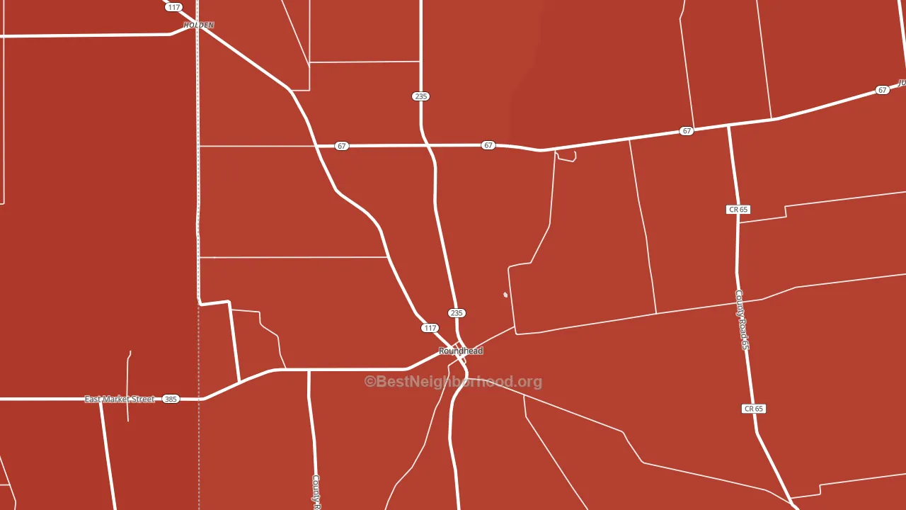 Roundhead, OH block-group political-lean map