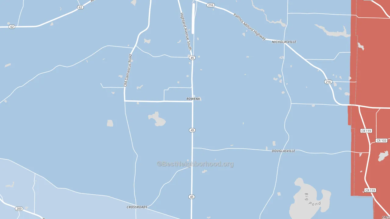 Rowena, GA block-group political-lean map