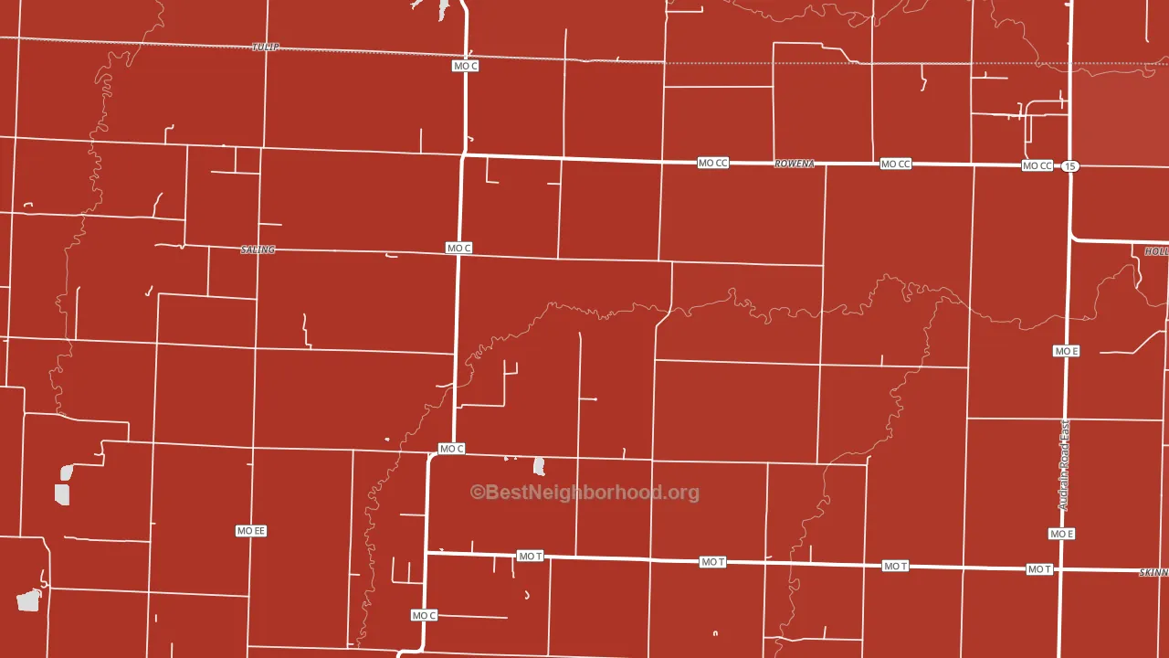 Rowena, MO block-group political-lean map