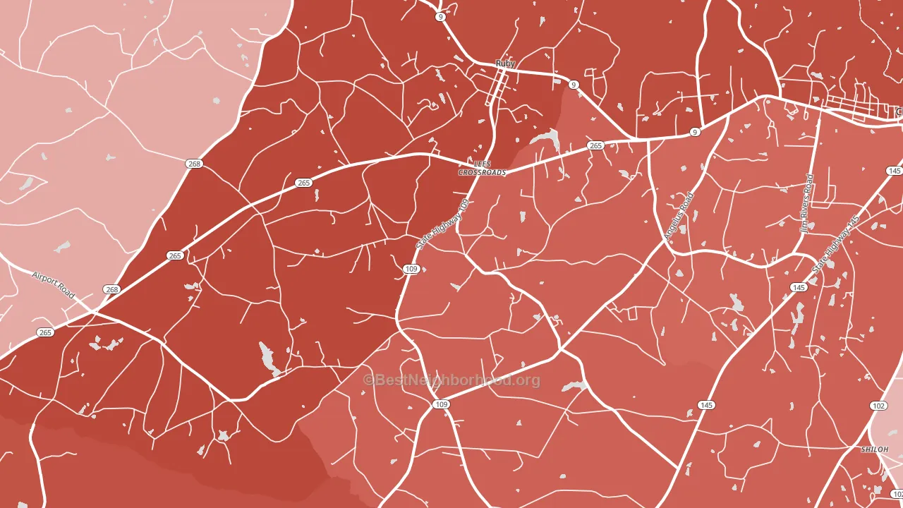 Ruby, SC block-group political-lean map