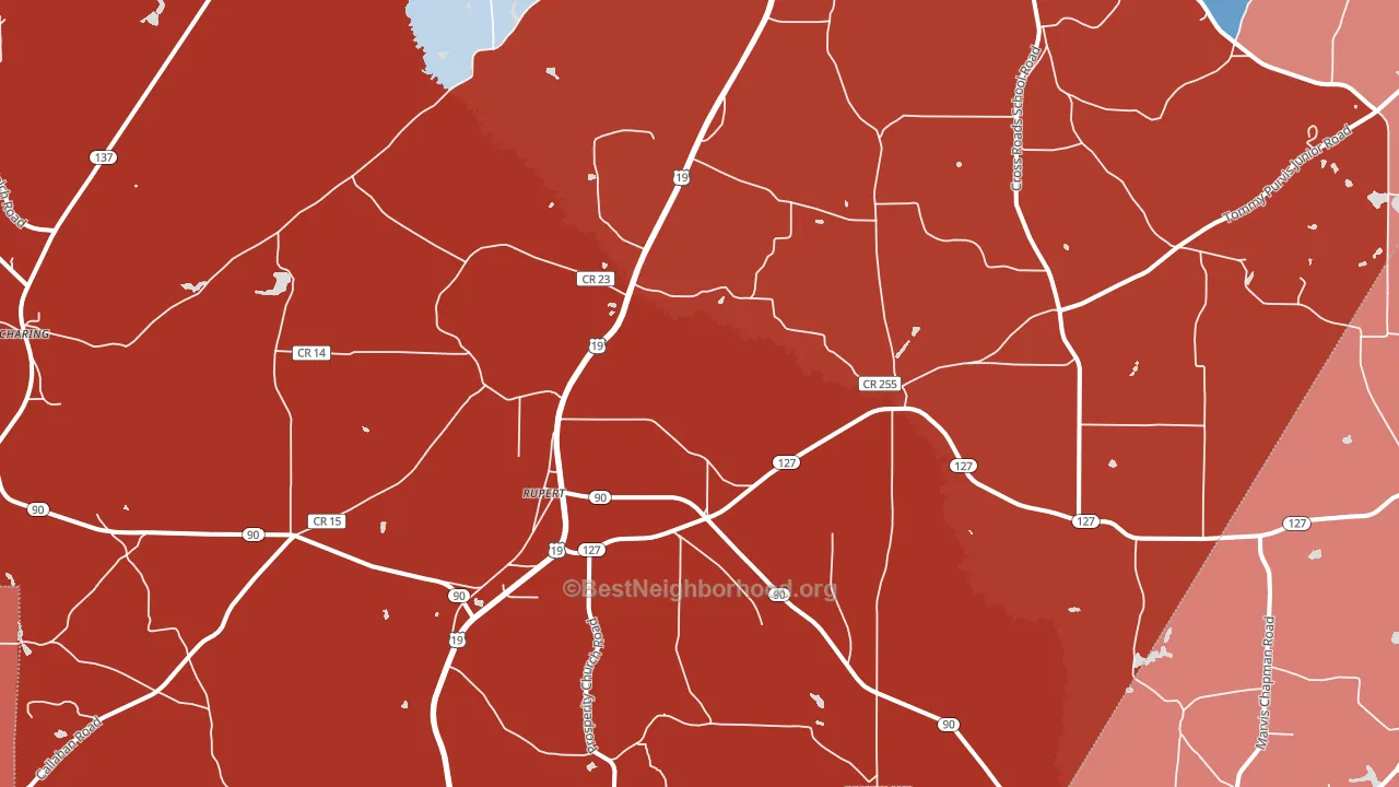 Rupert, GA block-group political-lean map