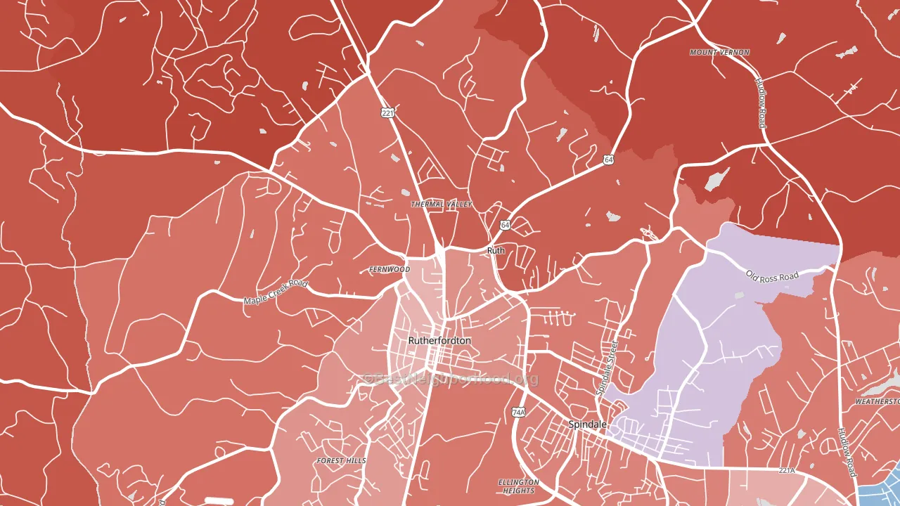 Ruth, NC block-group political-lean map