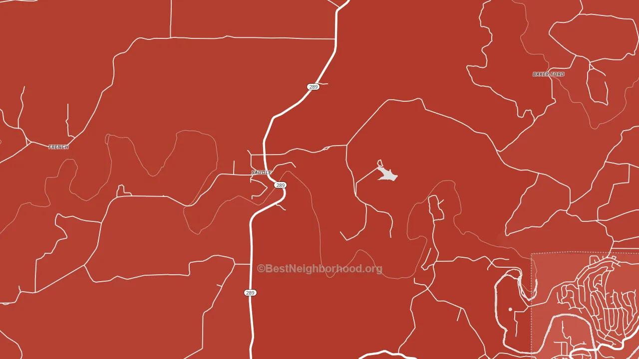 Saddle, AR block-group political-lean map