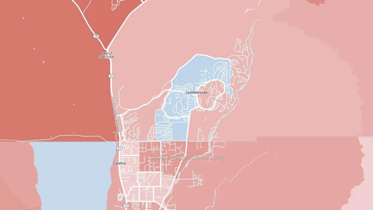 Saddlebrooke, AZ block-group political-lean map