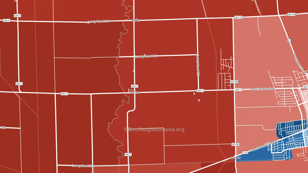 Salcedo, MO block-group political-lean map