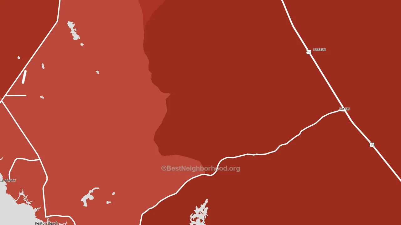 Salem, FL block-group political-lean map