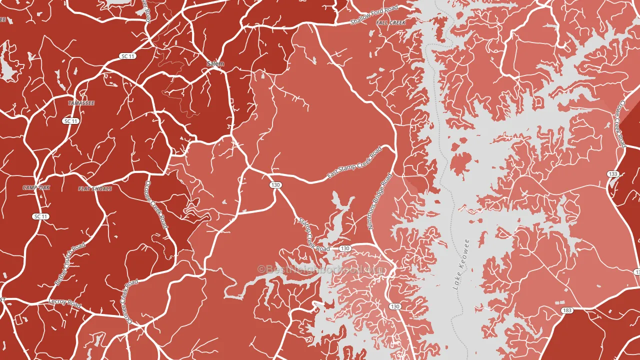 Salem, SC block-group political-lean map