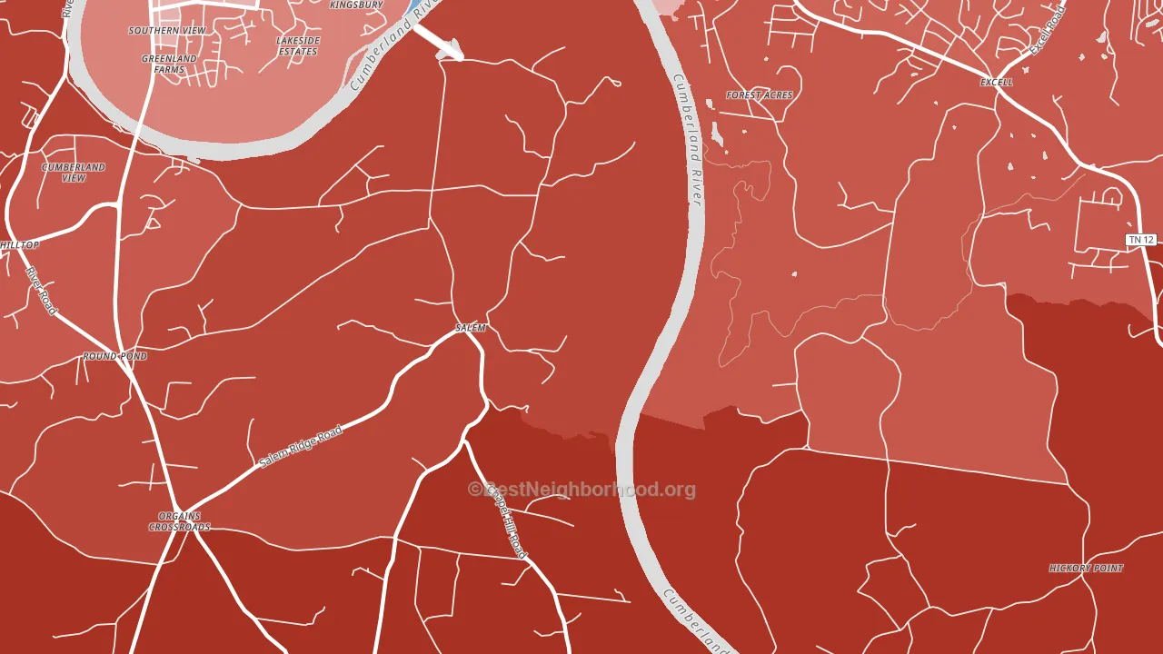 Salem, TN block-group political-lean map