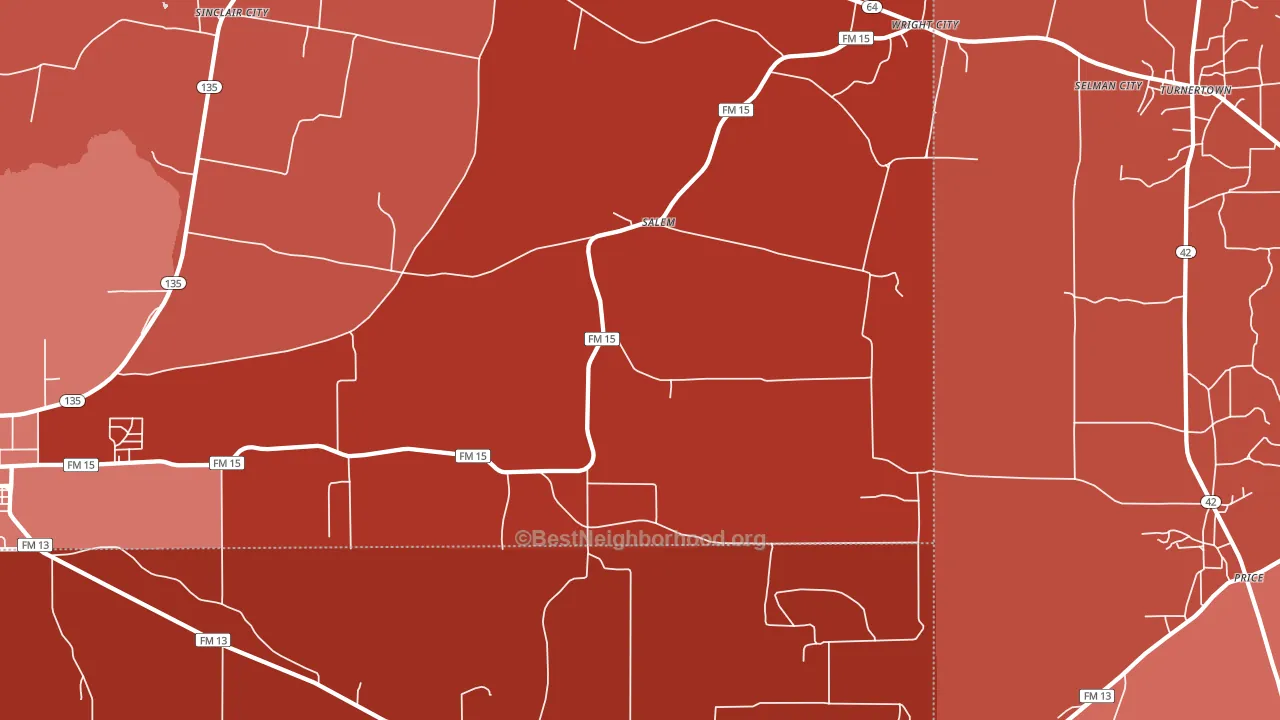 Salem, TX block-group political-lean map