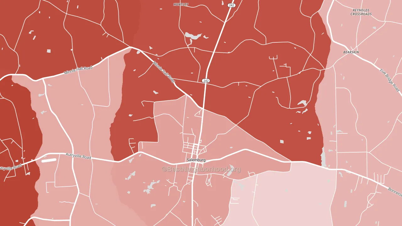 Salemburg, NC block-group political-lean map
