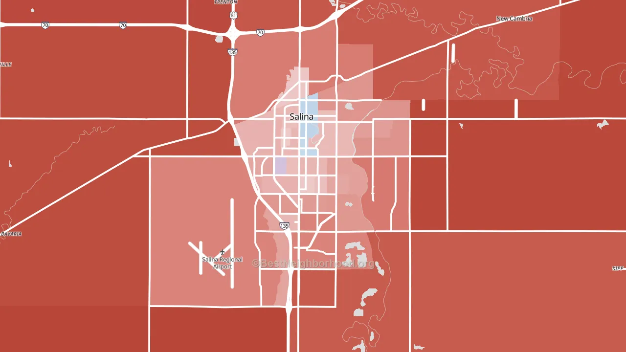 Salina, KS block-group political-lean map