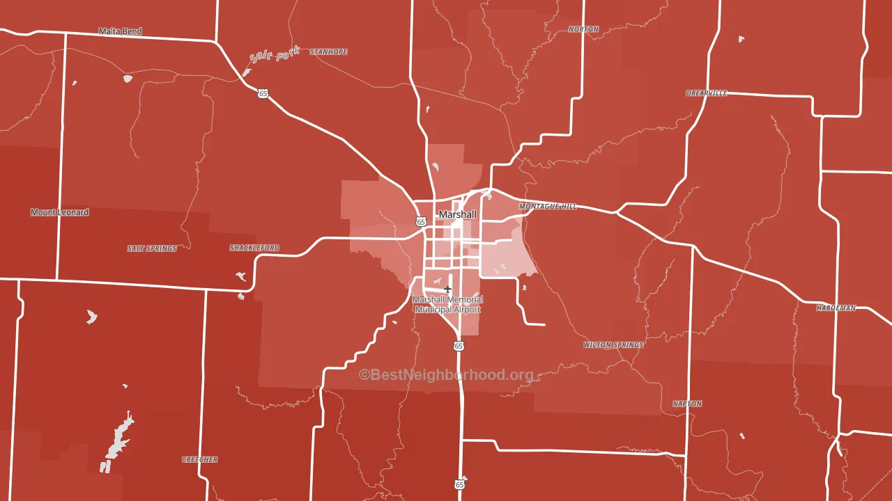 Saline County, MO block-group political-lean map
