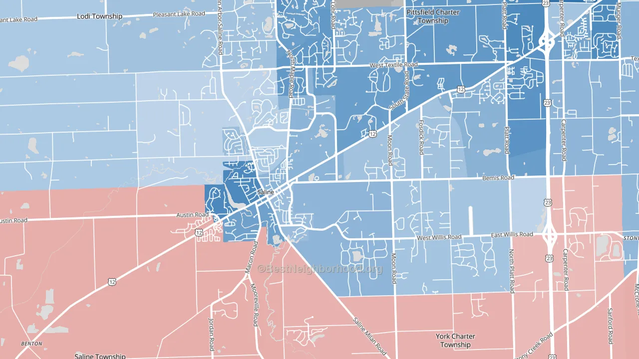 Saline, MI block-group political-lean map