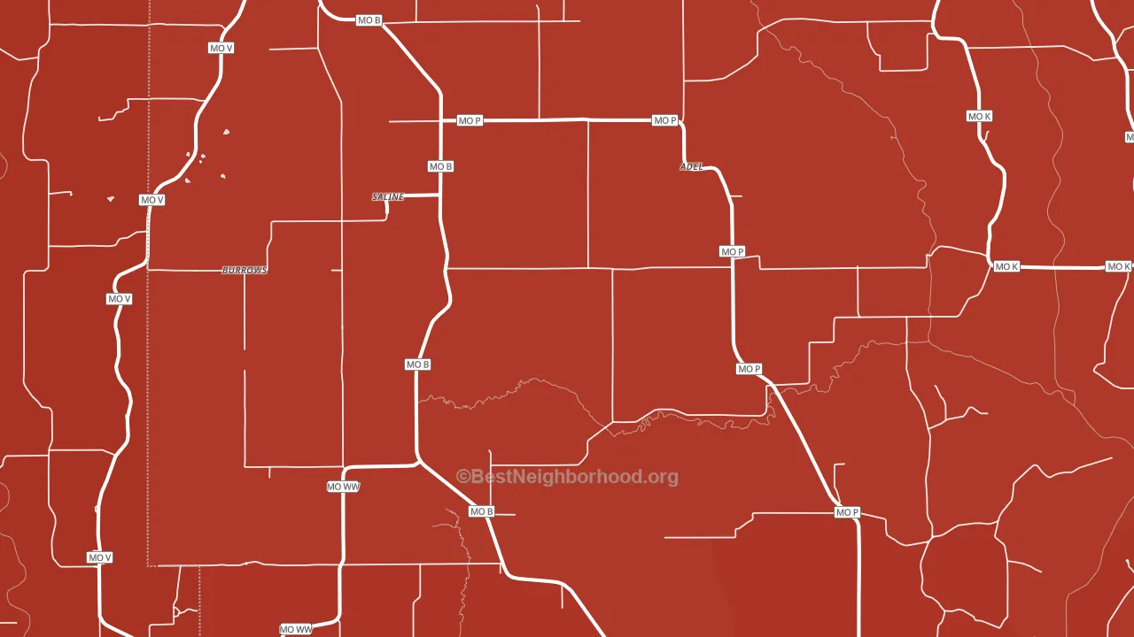 Saline, MO block-group political-lean map