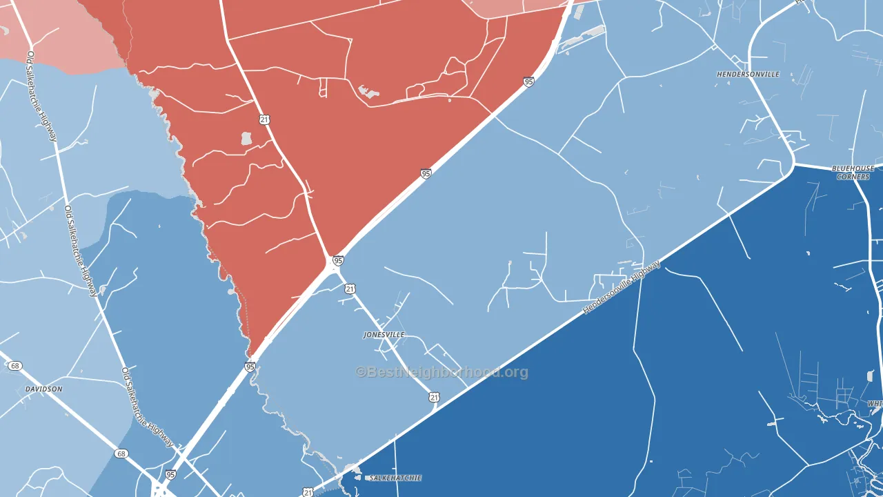 Salkehatchie, SC block-group political-lean map