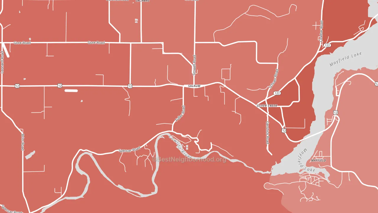 Salkum, WA block-group political-lean map