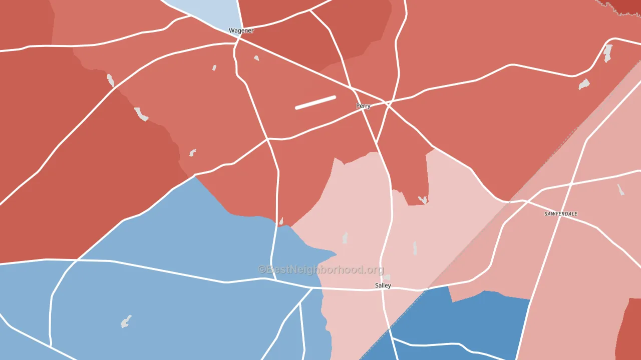 Salley, SC block-group political-lean map
