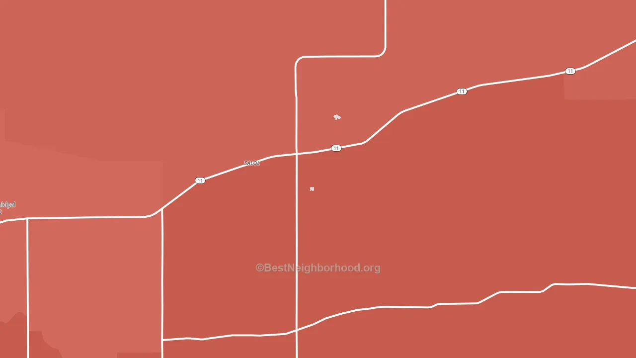 Salol, MN block-group political-lean map