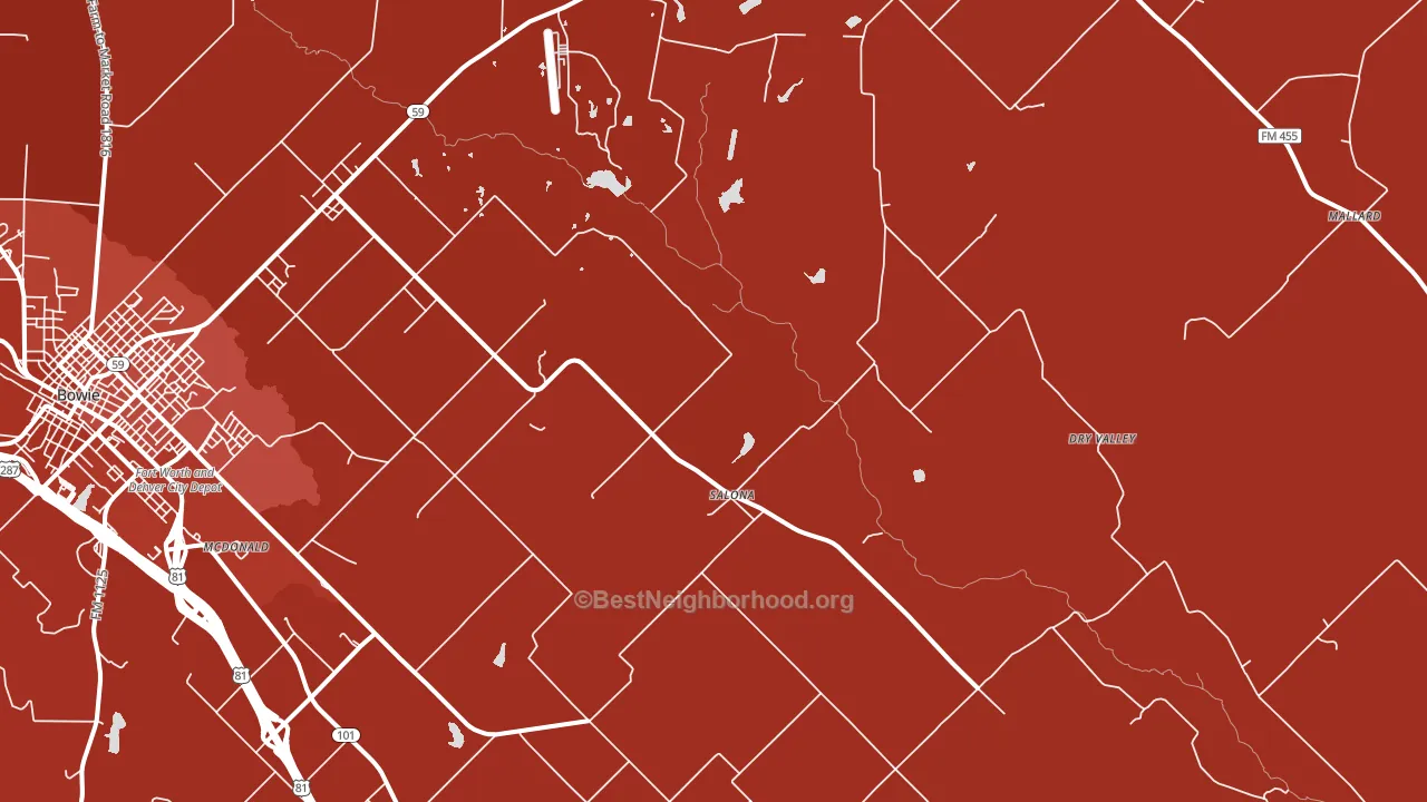 Salona, TX block-group political-lean map