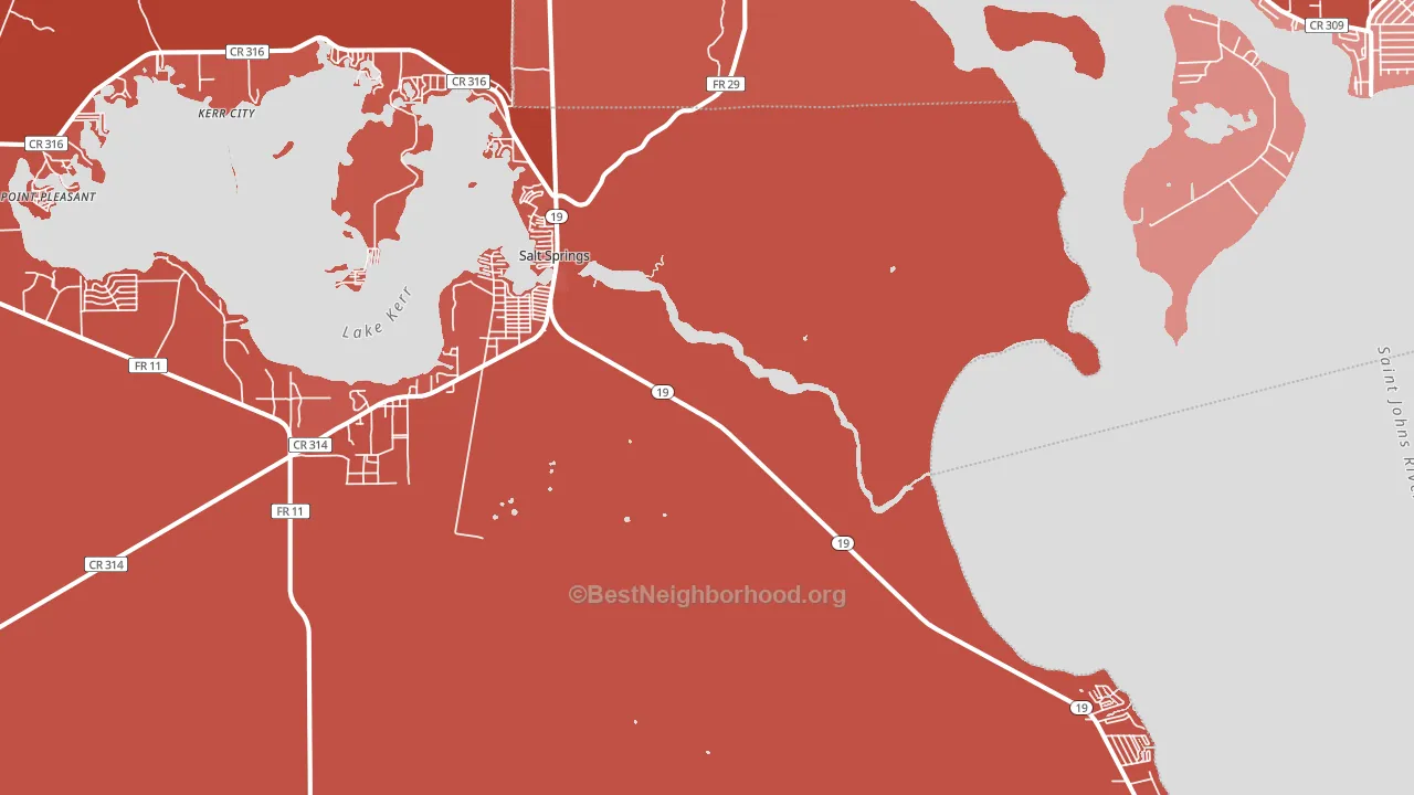 Salt Springs, FL block-group political-lean map