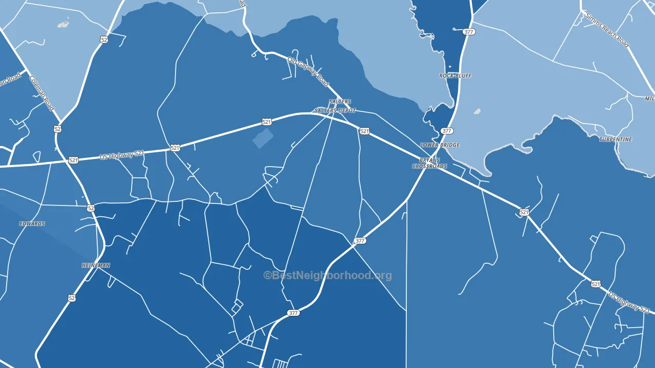 Salters, SC block-group political-lean map