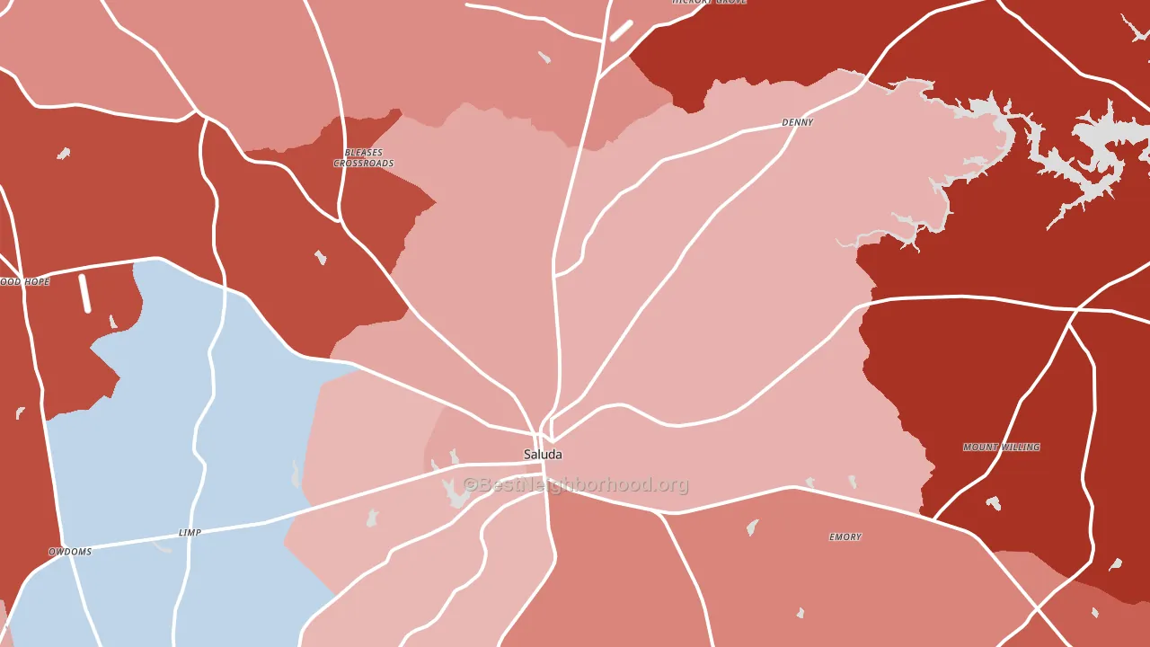 Saluda, SC block-group political-lean map