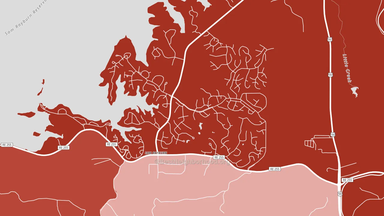 Sam Rayburn, TX block-group political-lean map