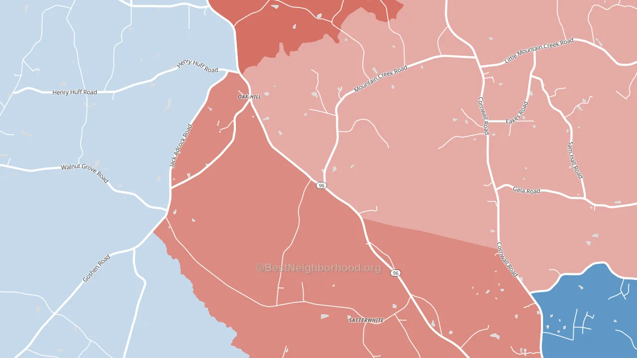 Satterwhite, NC block-group political-lean map