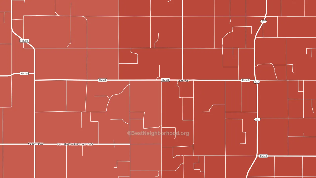 Savage, TX block-group political-lean map