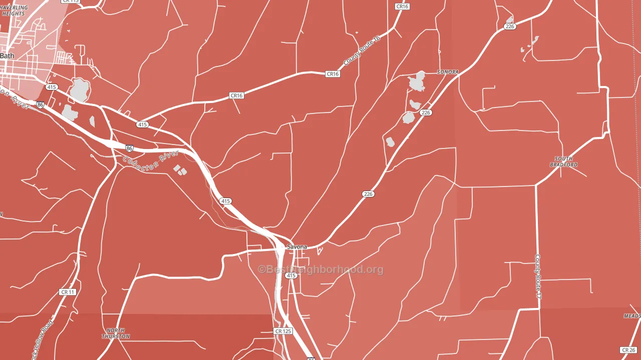 Savona, NY block-group political-lean map