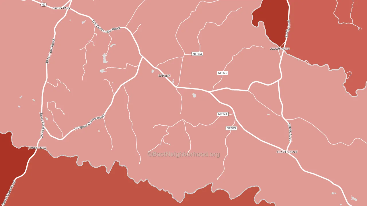 Sedalia, SC block-group political-lean map