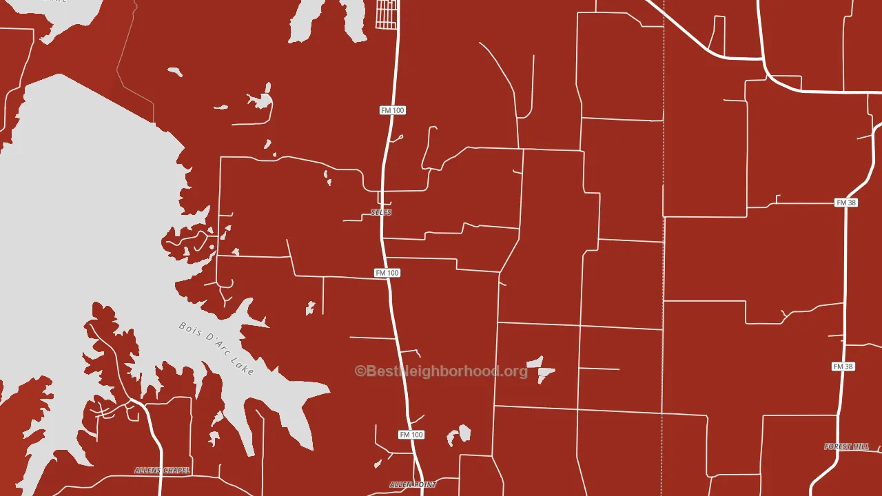 Selfs, TX block-group political-lean map