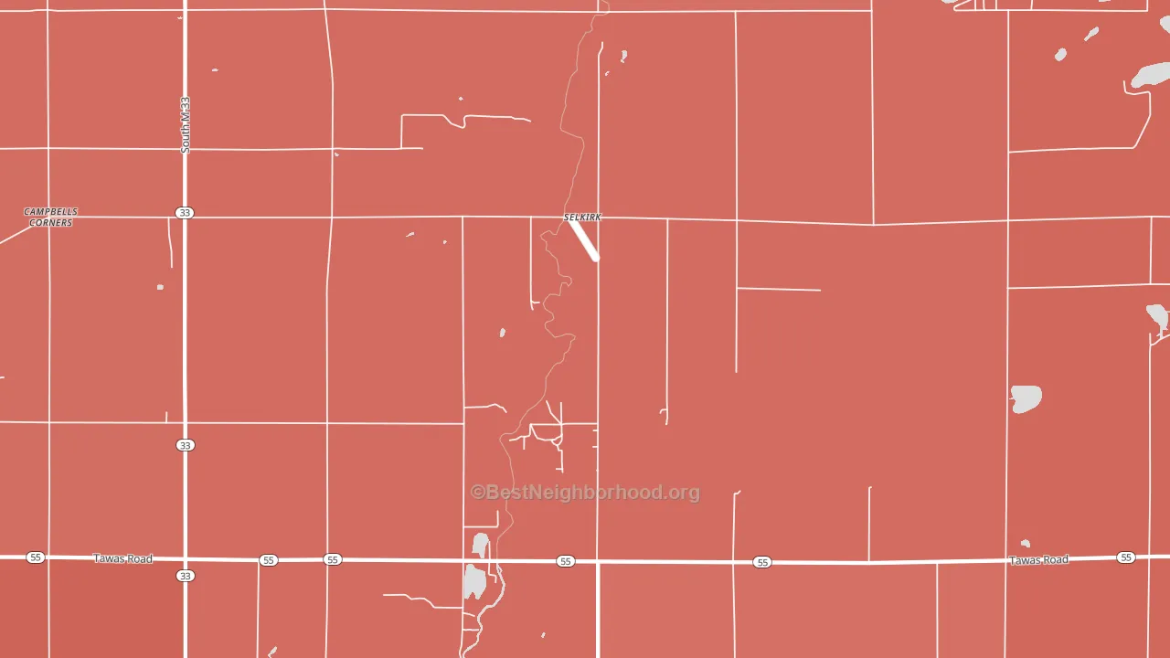 Selkirk, MI block-group political-lean map