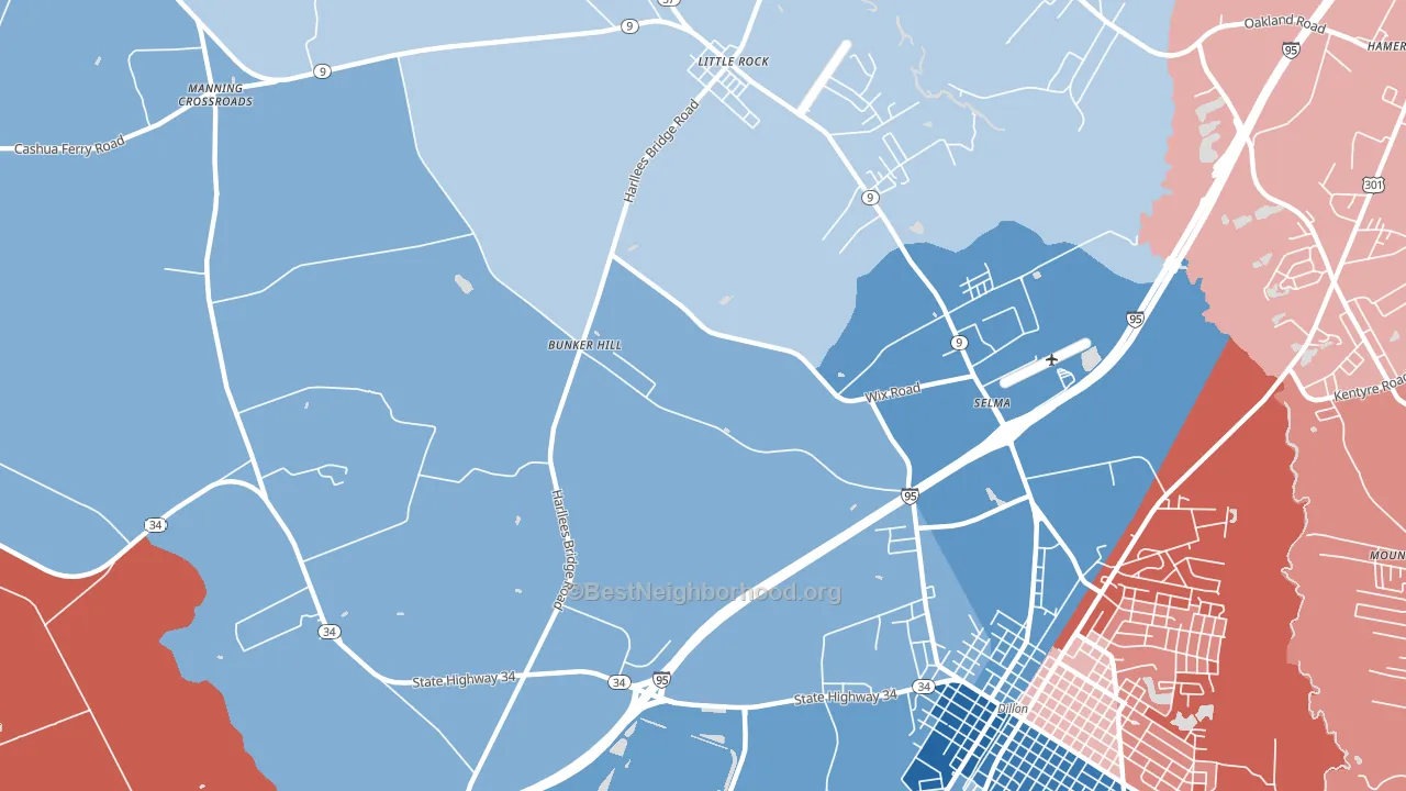 Selma, SC block-group political-lean map