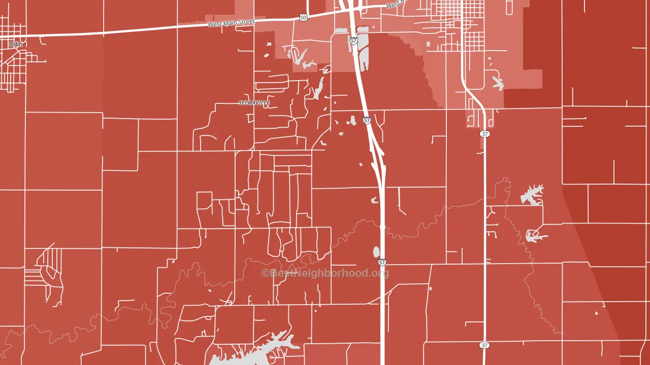 Selmaville, IL block-group political-lean map