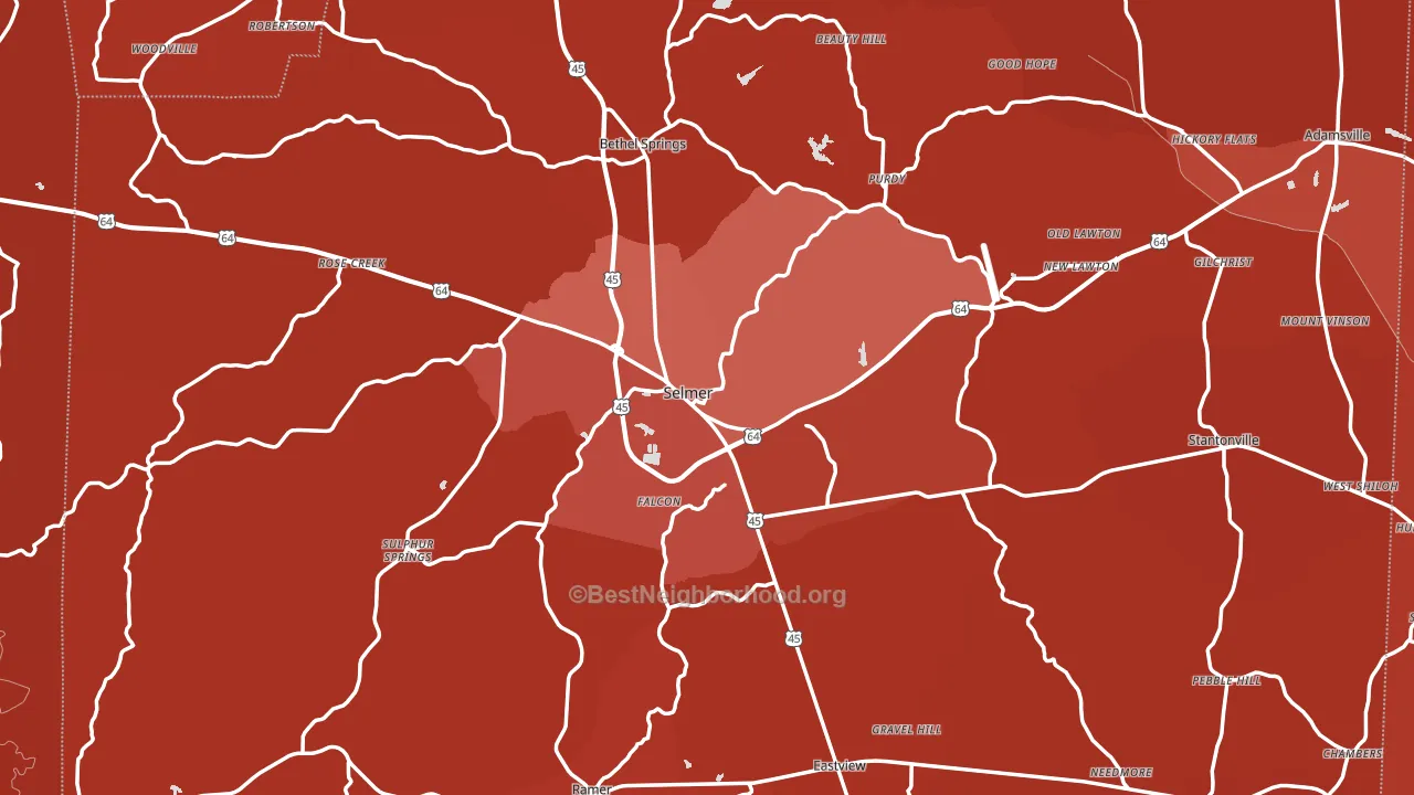 Selmer, TN block-group political-lean map