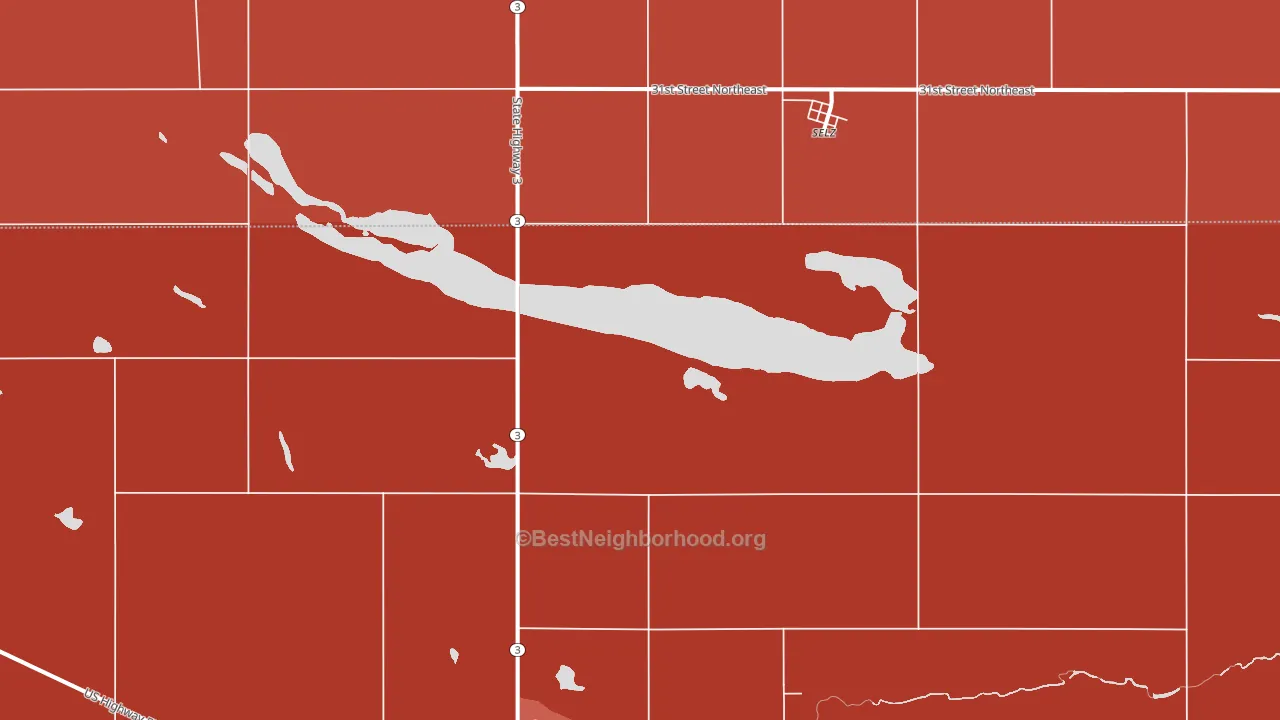 Selz, ND block-group political-lean map