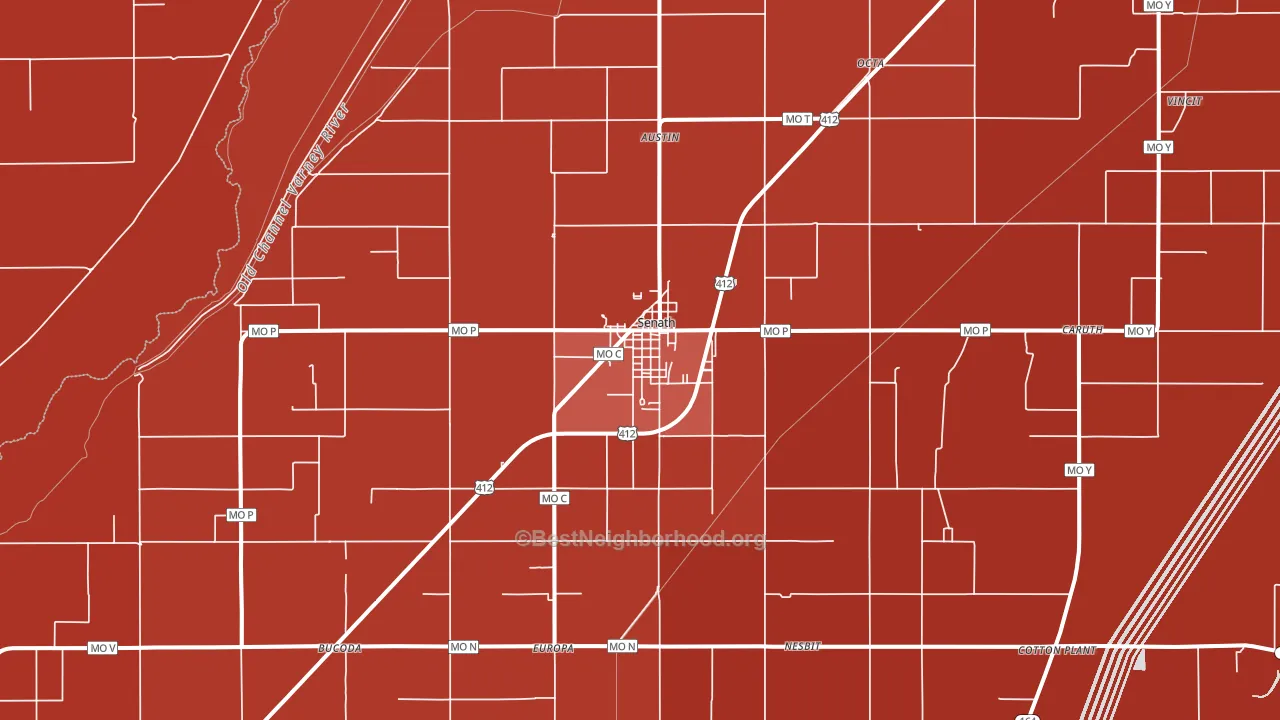 Senath, MO block-group political-lean map