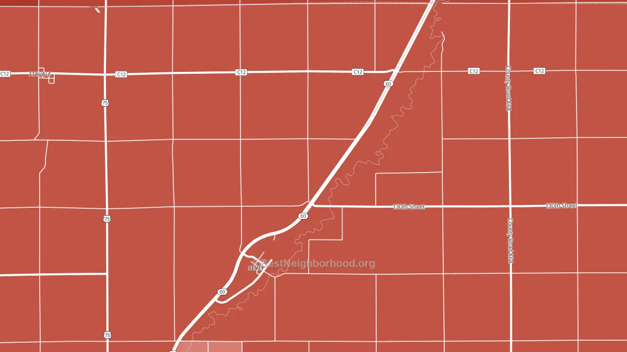 Seney, IA block-group political-lean map