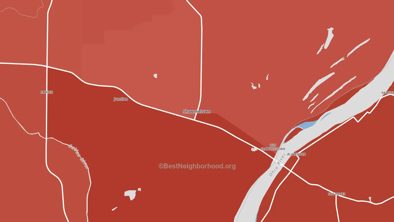 Shawneetown, IL block-group political-lean map