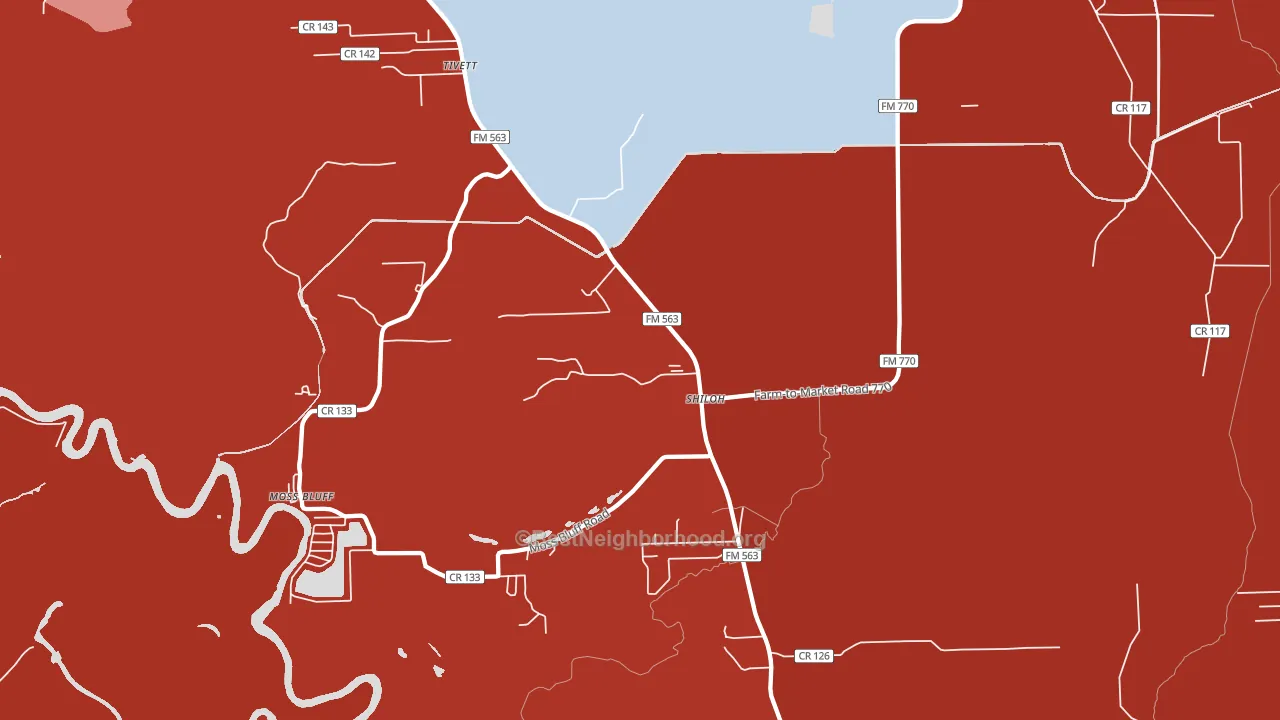 Shiloh, TX block-group political-lean map