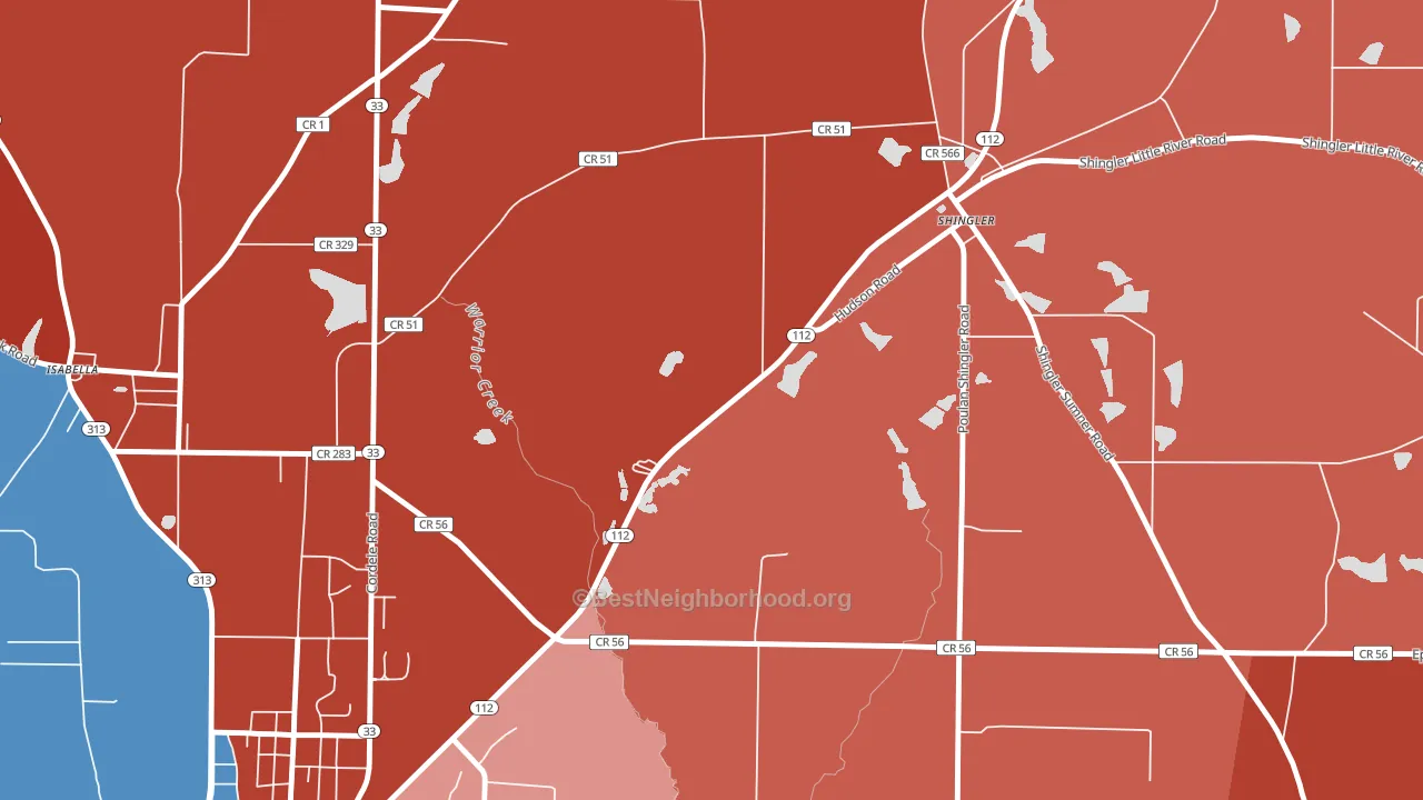Shingler, GA block-group political-lean map