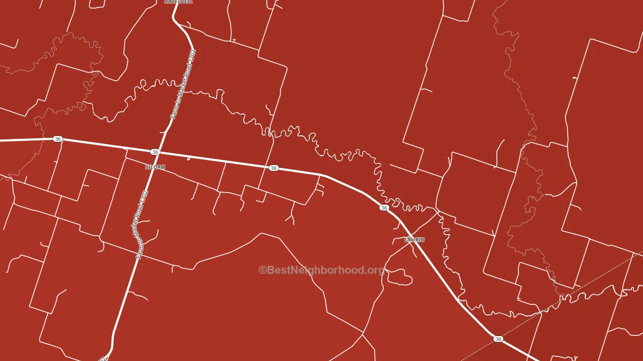 Siloam, TX block-group political-lean map