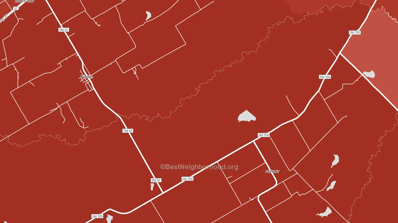 Silver City, TX block-group political-lean map