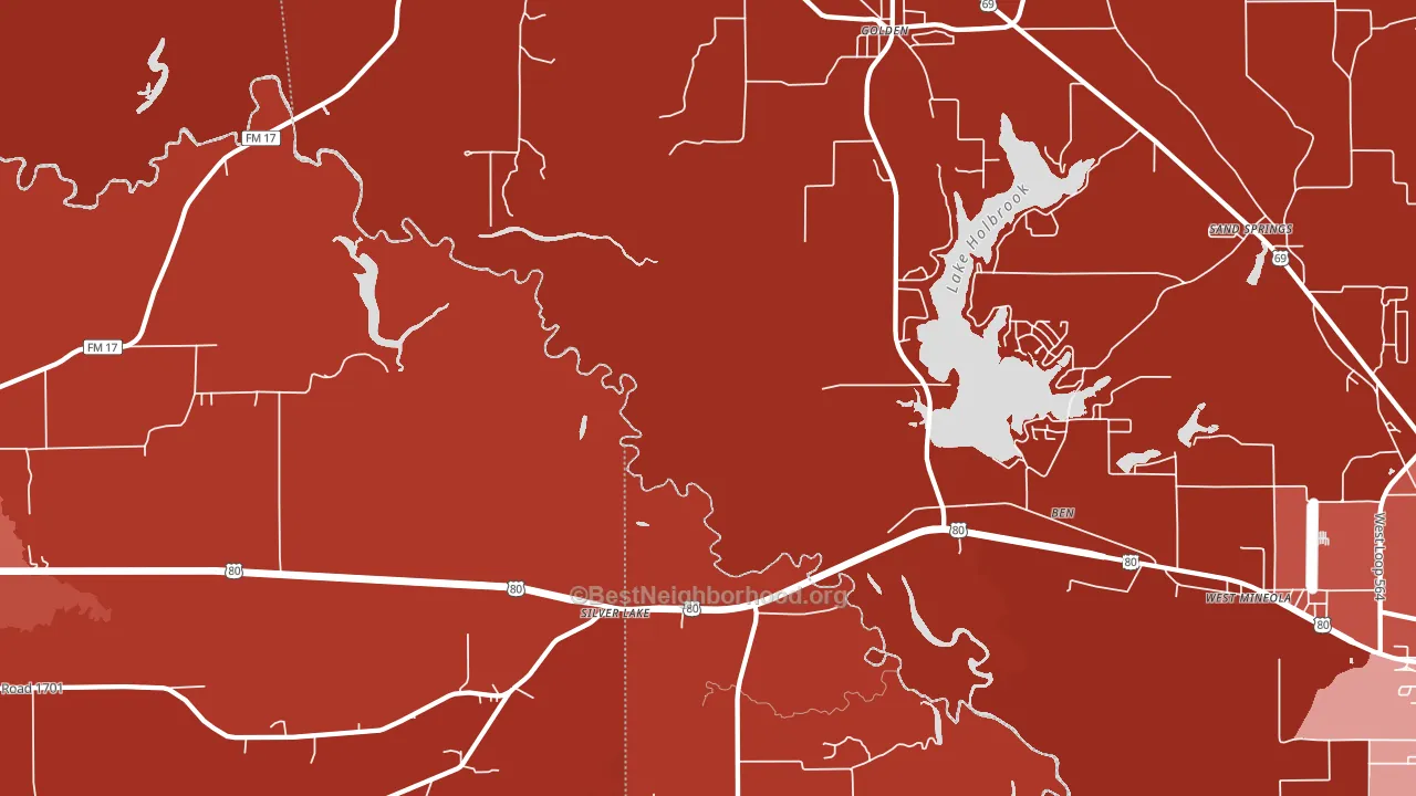 Silver Lake, TX block-group political-lean map