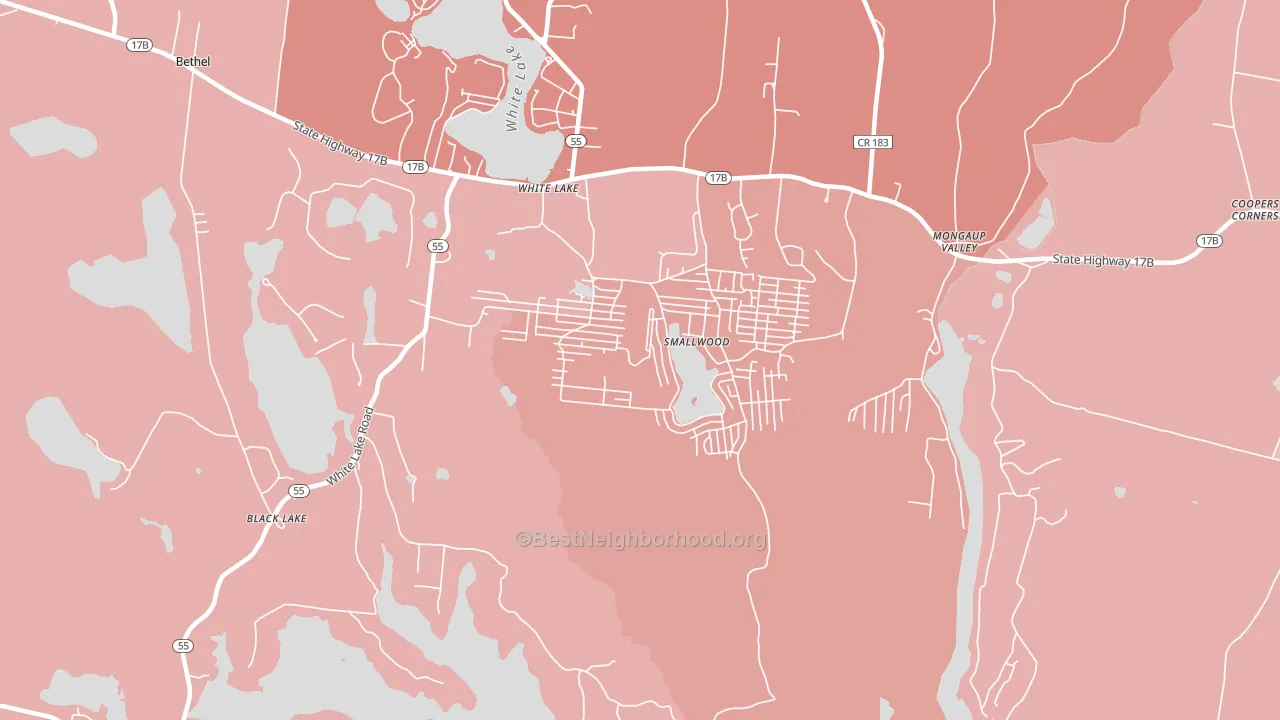 Smallwood, NY block-group political-lean map