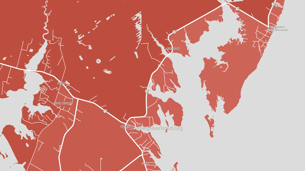 Smyrna, NC block-group political-lean map